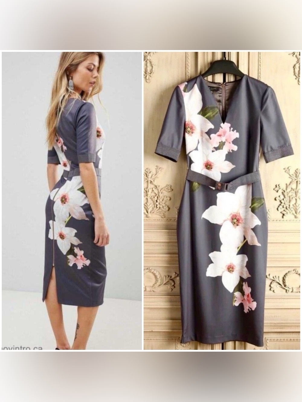 Ted Baker Bisslee Chatsworth Bloom Floral Print Dress, Size 4